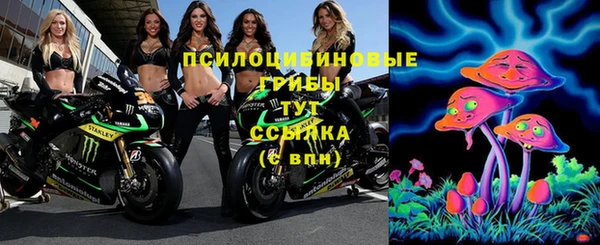 спайс Арсеньев
